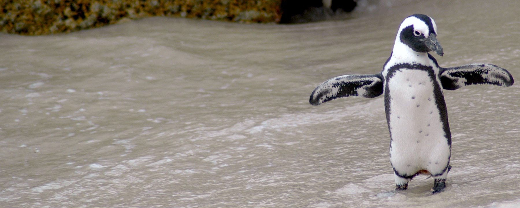 BMW Air Conditioning in Orange County