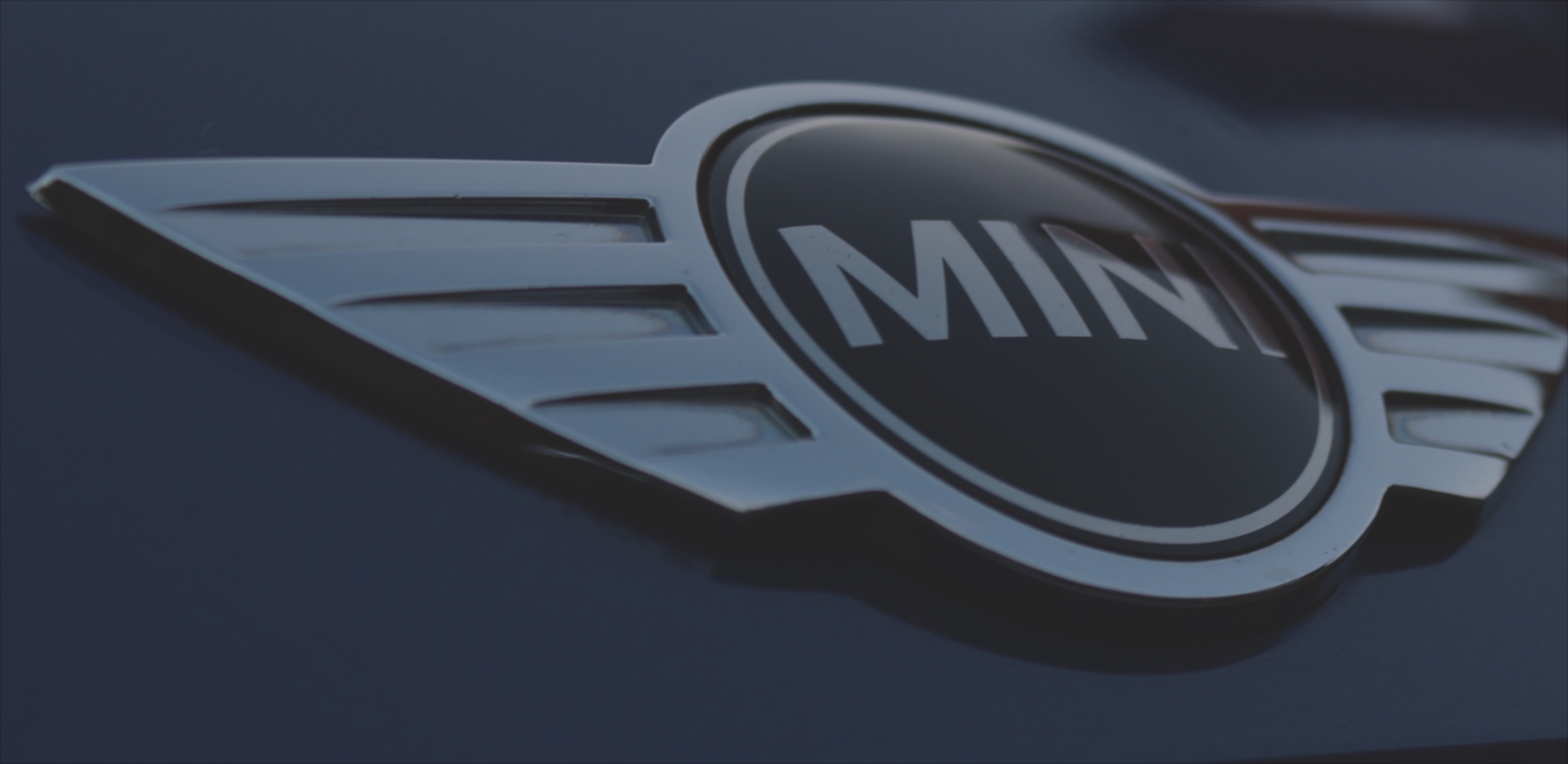 Ladera Ranch MINI Repair